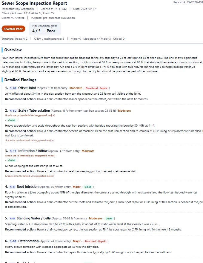 Technical detailed template: each finding in its own block with a full narrative description